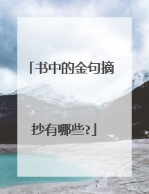 书中的金句摘抄有哪些?