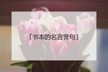 书本的名言警句