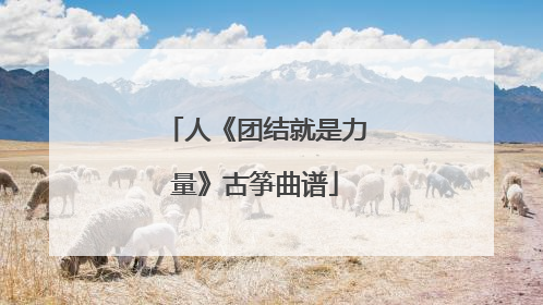 人《团结就是力量》古筝曲谱