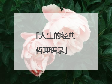 人生的经典哲理语录