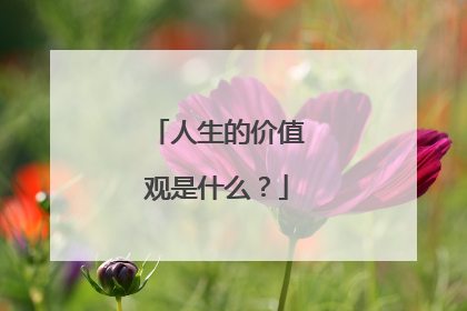 人生的价值观是什么?