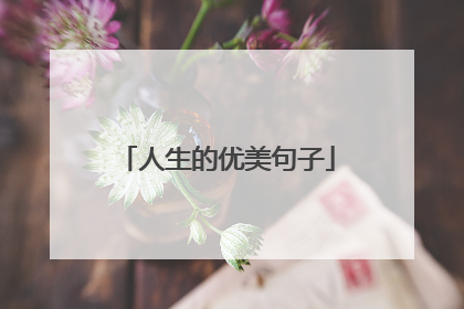 人生的优美句子