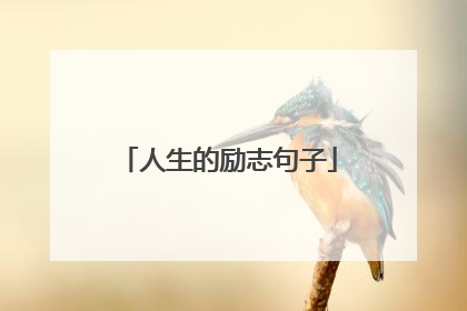 人生的励志句子