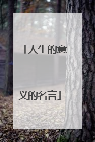 人生的意义的名言