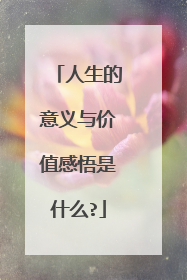 人生的意义与价值感悟是什么?