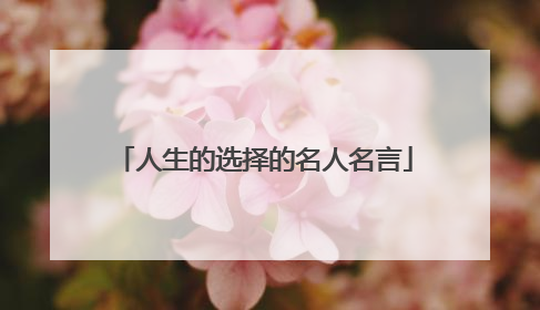 人生的选择的名人名言