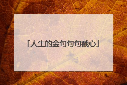 人生的金句句句戳心