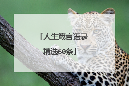 人生箴言语录精选60条