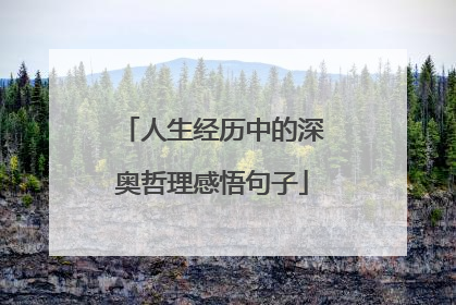 人生经历中的深奥哲理感悟句子