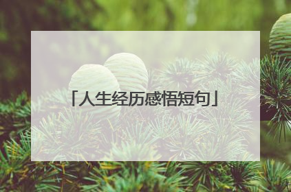 人生经历感悟短句