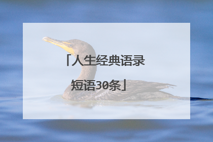 人生经典语录短语30条