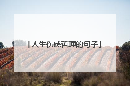 人生伤感哲理的句子
