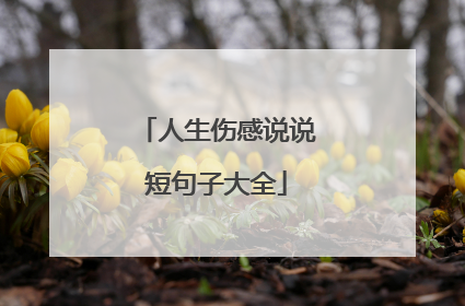人生伤感说说短句子大全