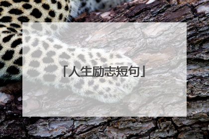 人生励志短句