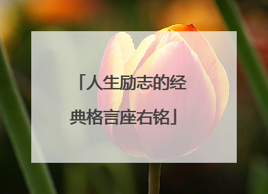 人生励志的经典格言座右铭