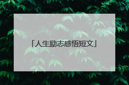人生励志感悟短文