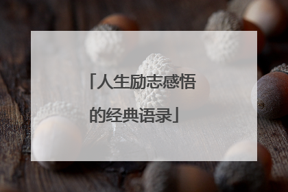 人生励志感悟的经典语录