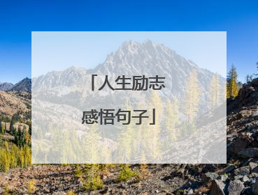 人生励志感悟句子