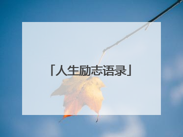人生励志语录