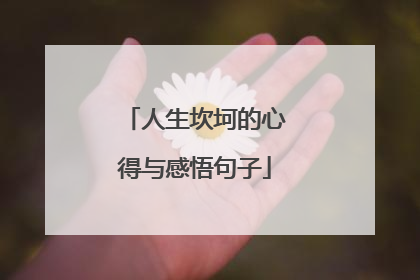 人生坎坷的心得与感悟句子