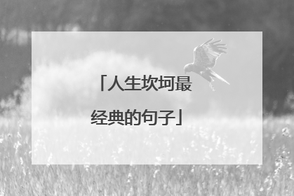 人生坎坷最经典的句子