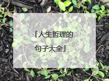 人生哲理的句子大全