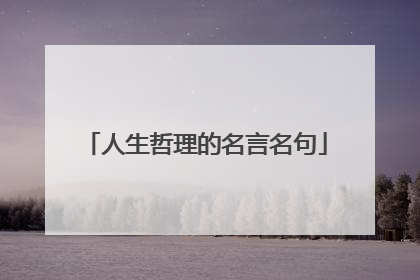 人生哲理的名言名句