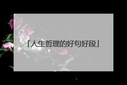人生哲理的好句好段