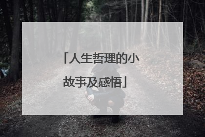 人生哲理的小故事及感悟