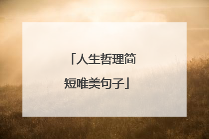 人生哲理简短唯美句子
