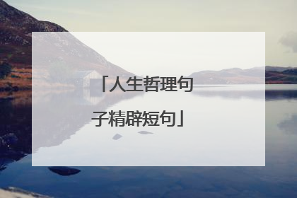 人生哲理句子精辟短句