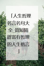 人生哲理名言名句大全_简短精辟富有哲理的人生格言