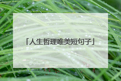 人生哲理唯美短句子