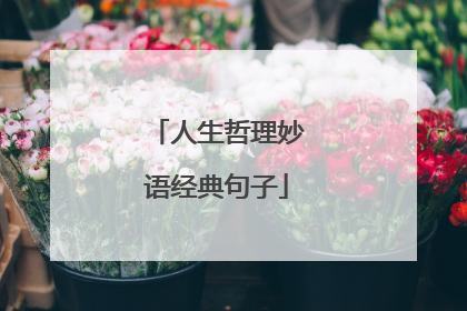 人生哲理妙语经典句子