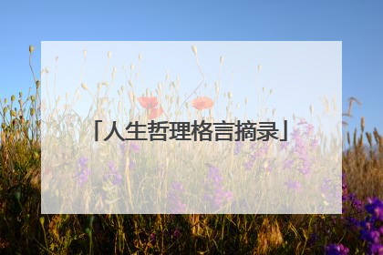 人生哲理格言摘录