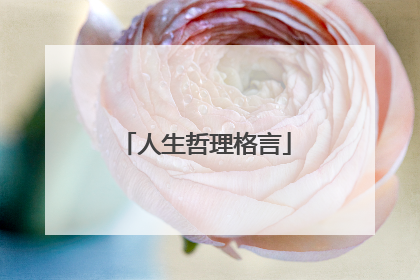人生哲理格言
