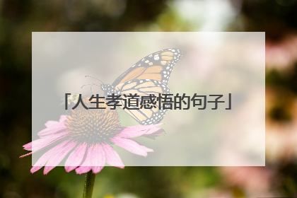 人生孝道感悟的句子
