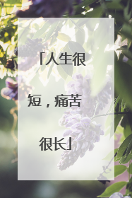 人生很短,痛苦很长