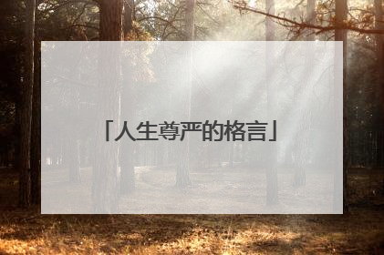人生尊严的格言