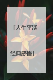 人生平淡经典感悟