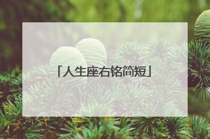 人生座右铭简短