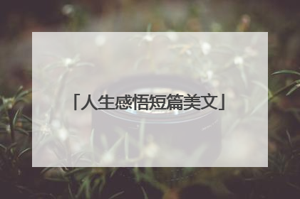 人生感悟短篇美文