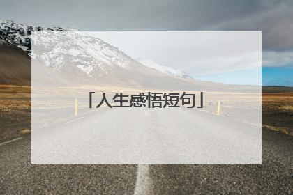 人生感悟短句