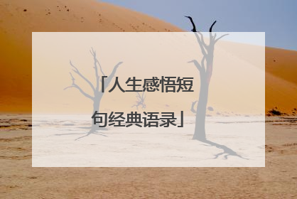 人生感悟短句经典语录