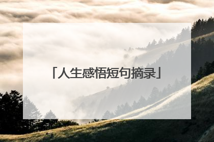 人生感悟短句摘录