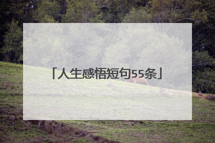人生感悟短句55条