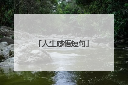 人生感悟短句