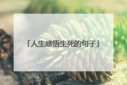 人生感悟生死的句子