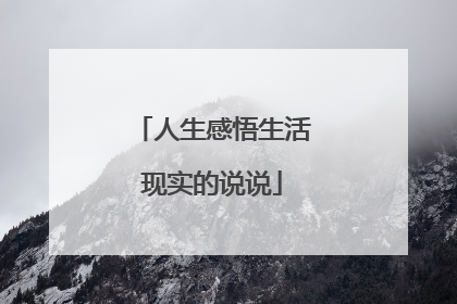人生感悟生活现实的说说