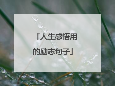 人生感悟用的励志句子